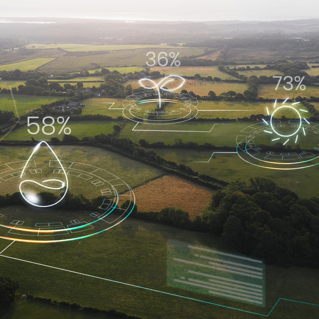 Foto ciudad medio ambiente