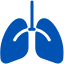 pulmones